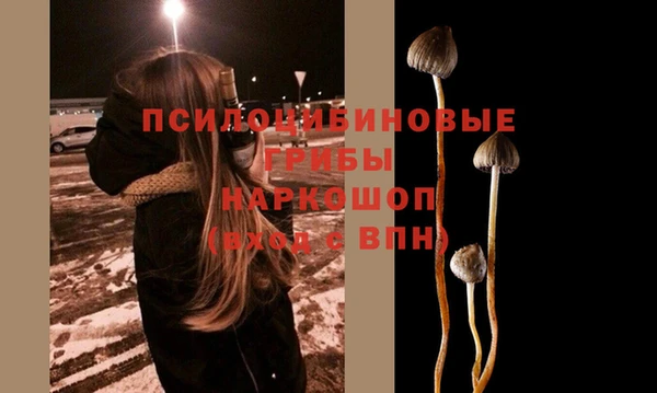 PSILOCYBIN Бронницы