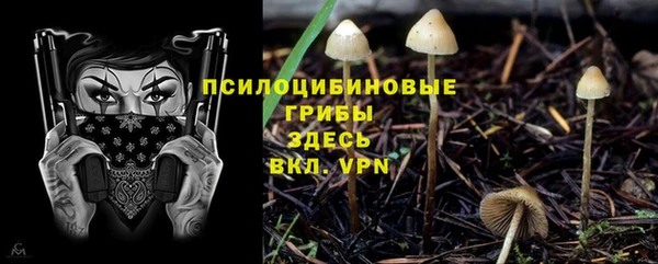 PSILOCYBIN Верхнеуральск